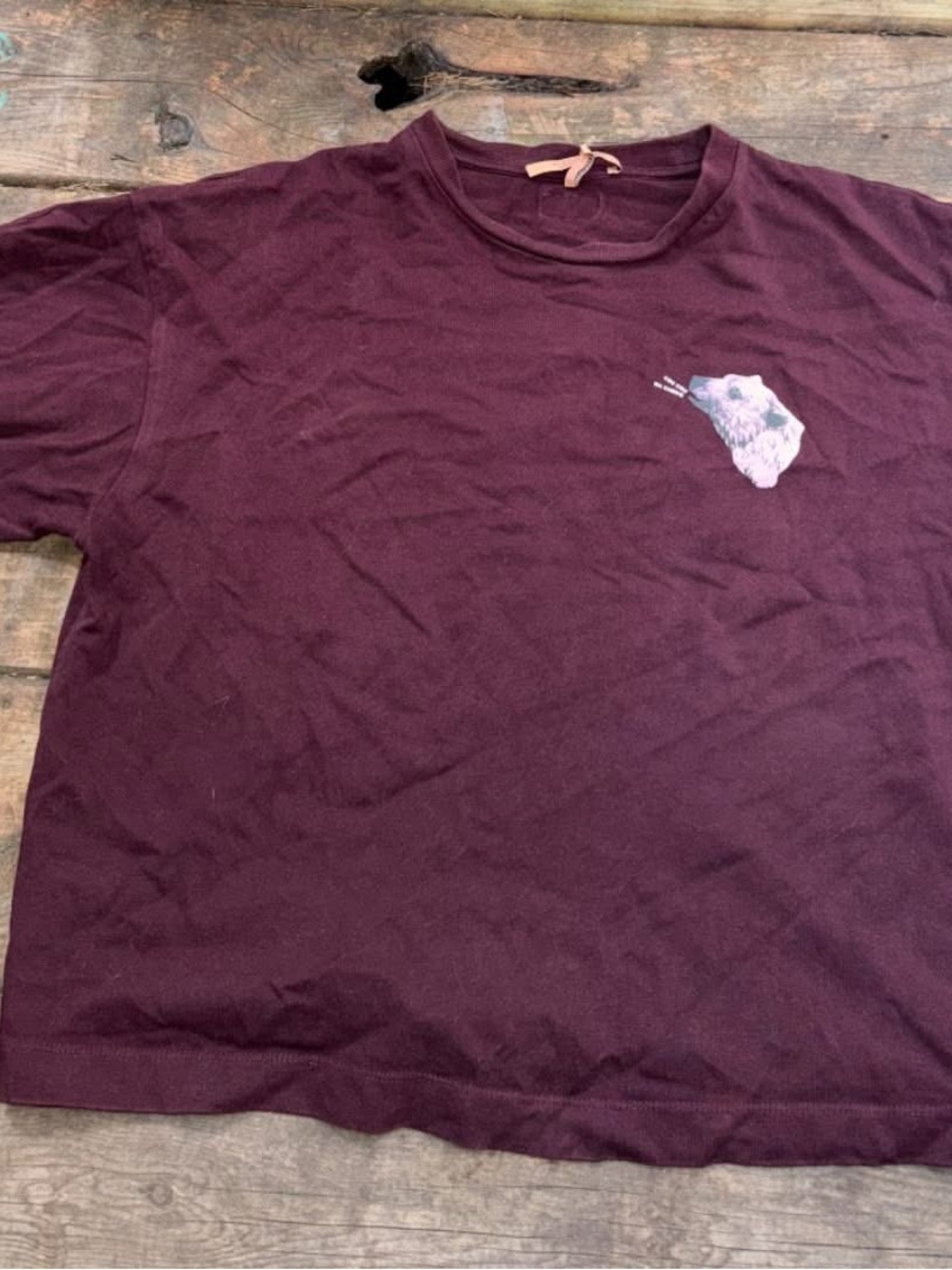 Scotch & Soda Women's Short Sleeve Tee in Plum